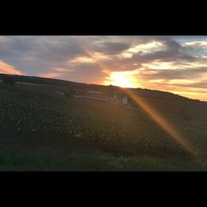 Meet your Posher, Pamela